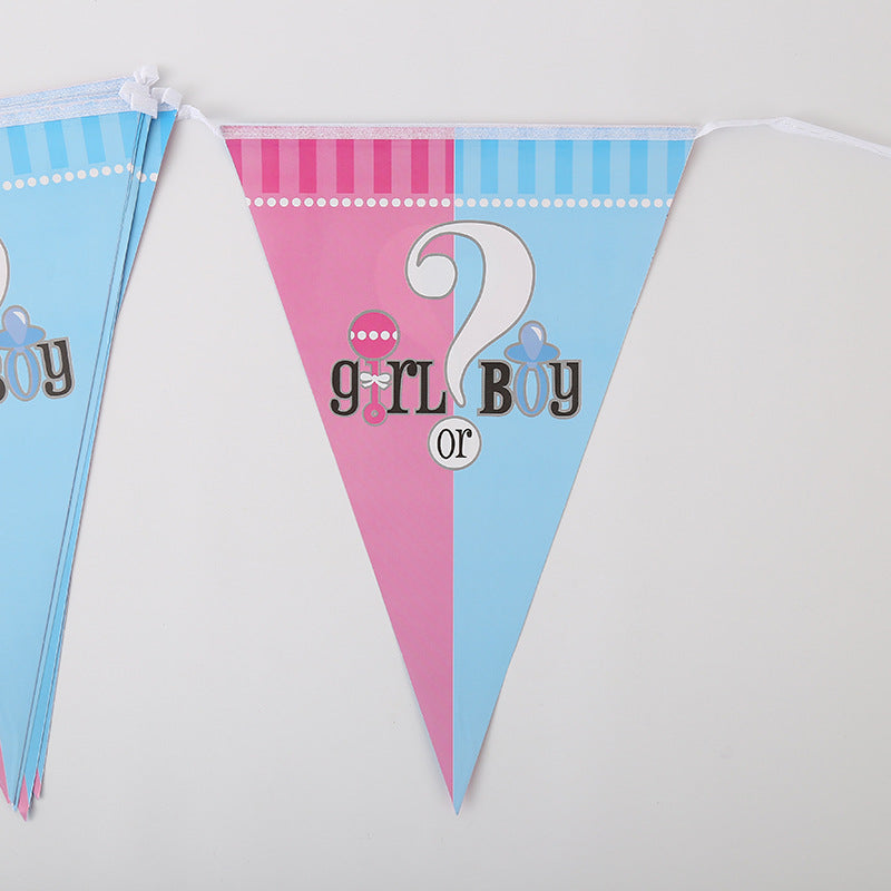 Gender Reveal Party Pack - lylastore